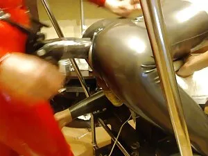 美しいロシアの猫は舐めて、それをお尻に入 ...